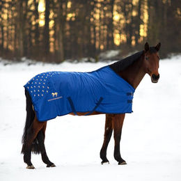 Produktbild von Accuhorsemat Akupressurdecke für Pferde aus Nylon in Blau