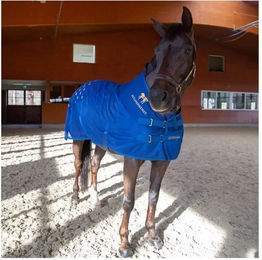 Produktbild von Accuhorsemat Akupressurmatte für Pferde in Blau mit Mesh-Material Größe L
