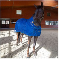 Produktbild von Accuhorsemat Akupressurmatte für Pferde in Blau mit Mesh-Material Größe L