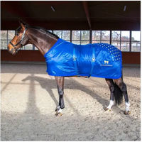 Produktbild von Accuhorsemat Original Akupressurmatte für Pferde aus Nylon in Blau Größe S