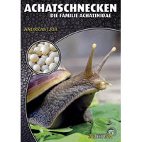 Produktbild von Achatschnecken: Die Familie Achatinidae Buchreihe Art für Art Terraristik NTV Natur und Tier-Verlag