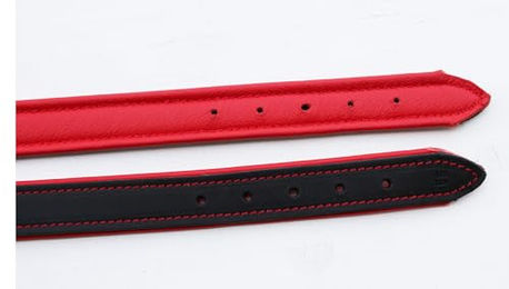 Activity4Dogs Hundehalsband M1 aus Echtleder gepolstert für mittelgroße Hunde 2,5cm breit - 1 Stk. – Bild 1 von 3