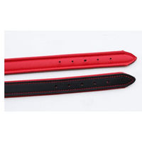 Produktbild von Activity4Dogs Hundehalsband M1 aus Echtleder gepolstert für mittelgroße Hunde 2,5cm breit - 1 Stk.