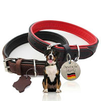 Produktbild von Activity4Dogs Hundehalsband M1 aus Echtleder gepolstert für mittelgroße Hunde 36-42 cm - 1 Stk.