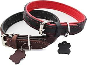 Activity4Dogs Hundehalsband M2 aus Echtleder gepolstert für mittelgroße Hunde 2,5cm breit 43-47cm – Bild 1 von 2