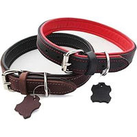 Produktbild von Activity4Dogs Hundehalsband M2 aus Echtleder gepolstert für mittelgroße Hunde 2,5cm breit 43-47cm