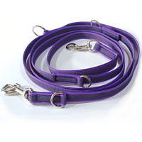 Produktbild von Activity4Dogs Hundeleine für große Hunde aus Nylon in Lila, 4-fach verstellbar und wasserabweisend