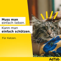 Produktbild von AdTab Kautabletten gegen Zecken und Flöhe für Katzen von 2 bis 8 kg