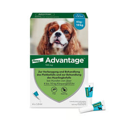 Advantage 100 Hund 4 Stücke Lösung – Bild 1 von 1