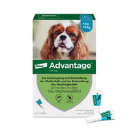 Produktbild von Advantage 100 Hund 4 Stücke Lösung