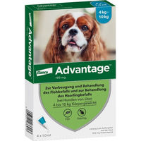 Produktbild von Advantage 100 Spot-On Lösung für Hunde kleiner Rassen gegen Flöhe 4-10 kg 4 Stück