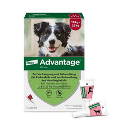 Advantage 250 Hund 4er Pack Lösung – Bild 1 von 1