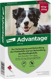 Advantage 250 Spot-On Lösung für Hunde mittlerer Rassen gegen Flöhe und Haarlinge 4 Stück – Bild 1 von 2