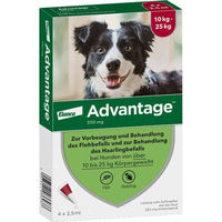 Produktbild von Advantage 250 Spot-On Lösung für Hunde mittlerer Rassen gegen Flöhe und Haarlinge 4 Stück