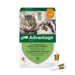Advantage 40mg Spot-on Lösung für Katzen und Zierkaninchen 4x0,4 ml – Bild 1 von 1