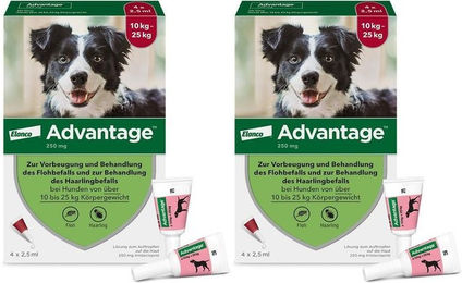 Produktbild von Advantage Spot-On 250 zur Behandlung von Flöhen für mittelgroße Hunde von 10 bis 25 kg