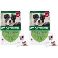 Produktbild von Advantage Spot-On 250 zur Behandlung von Flöhen für mittelgroße Hunde von 10 bis 25 kg