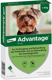 Advantage Spot-On 40 Flohmittel für kleine Hunde bis 4 kg 4 x 0,4 ml – Bild 1 von 5