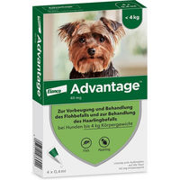 Produktbild von Advantage Spot-On 40 Flohmittel für kleine Hunde bis 4 kg 4 x 0,4 ml