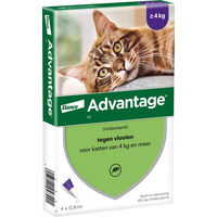 Produktbild von Advantage Spot-On Flohmittel für Katzen über 4 kg 4 Pipetten