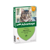 Produktbild von Advantage Spot-On Flohmittel für Katzen unter 4 kg 4 Pipetten