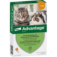 Produktbild von Advantage Spot-On Lösung gegen Flöhe für kleine Katzen und Zierkaninchen 40 mg 1,6 ml