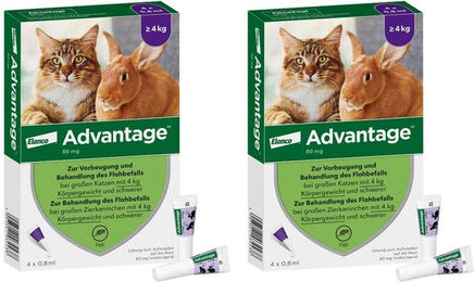 Produktbild von Advantage Spot-On Parasitenbehandlung gegen Flöhe für große Katzen und große Zierkaninchen 80 mg