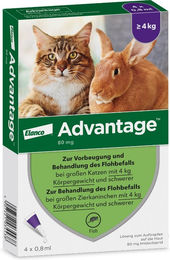 Advantage Spot-On Parasitenbehandlung gegen Flöhe für Katzen und Zierkaninchen 4 x 0,8 ml – Bild 1 von 5