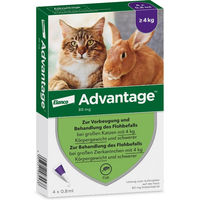 Produktbild von Advantage Spot-On Parasitenbehandlung gegen Flöhe für Katzen und Zierkaninchen 4 x 0,8 ml