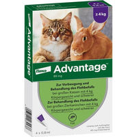 Produktbild von Advantage Spot-On Parasitenbehandlung Lösung für große Katzen und Zierkaninchen