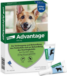 Advantage Spot-On zur Flohbekämpfung für große Hunde von 25 bis 40 kg Körpergewicht – Bild 1 von 5