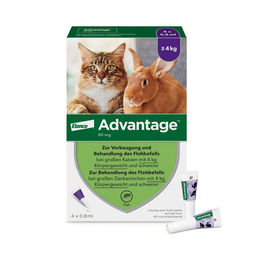 Advantix Advantage 80mg Lösung für Katzen und Zierkaninchen 4x0,8 ml – Bild 1 von 1