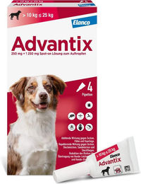 Advantix Spot-On für Hunde 10-25 kg 4 x 2,5 ml Lösung – Bild 1 von 1