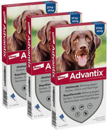 Advantix Spot-On für große Hunde bis 40 kg gegen Zecken und Flöhe – Bild 1 von 4