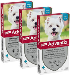 Advantix Spot-On für kleine Hunde gegen Zecken und Flöhe – Bild 1 von 4