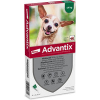 Produktbild von Advantix Spot-On für Welpen und kleine Hunde bis 4 kg gegen Zecken und Flöhe 4 x 0,4 ml