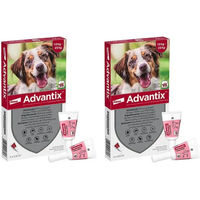 Produktbild von Advantix Spot-on Hund 10-25 kg Schutz gegen Flöhe und Zecken
