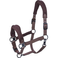 Produktbild von Aesthetic Air-Mesh Stallhalfter für Warmblut in Dunkelbraun aus Polypropylen