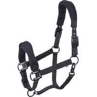 Produktbild von Aesthetic Air-Mesh Stallhalfter Schwarz für Warmblut aus Polyester