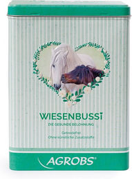 Produktbild von Agrobs BUSSI BOX Metall Grün