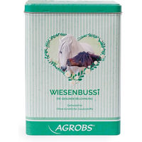 Produktbild von Agrobs BUSSI BOX Metall Grün