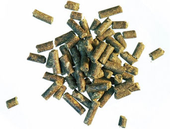 Produktbild von Agrobs Naturmineral Ergänzungsfutter Mineralfutter Futterprobe