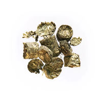 Produktbild von Agrobs Pre Alpin Testudo Herbs Getreidefreies Grundfutter für Landschildkröten 500 g