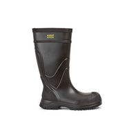 Produktbild von Aigle ARVALT S5 Bau-Stiefel Braun