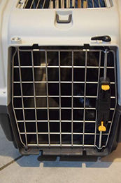 Aimé Transportbox für Hunde und Katzen aus Kunststoff in Grau – Bild 1 von 5