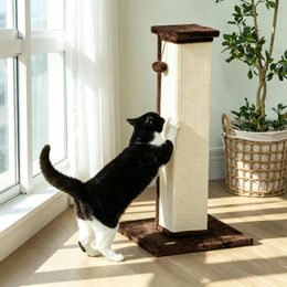 AIORBER Kratzbaum Kratzsäule für Katzen mit Sisal und Teddyplüsch sowie Spielball Creme Braun 41x41x81 cm – Bild 1 von 2