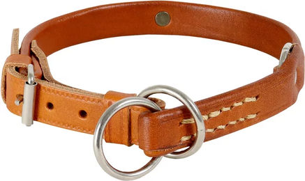 Akah Hundehalsband aus Leder mit Identifikationsschild – Bild 1 von 1
