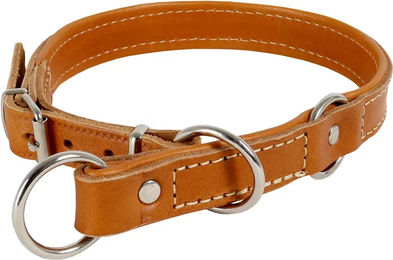 Akah Polarisierter Hundehalsband mit Stoppfunktion – Bild 1 von 1