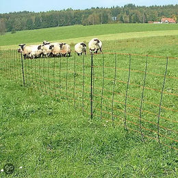 AKO Premium Ersatzzaunpfahl mit doppelter Spitze – Bild 1 von 1