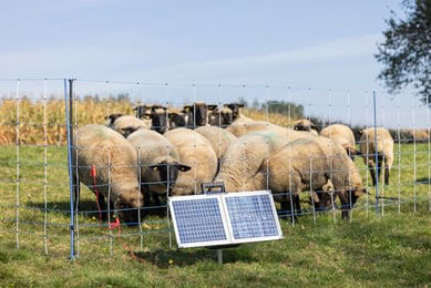 AKO Sun Power S 3000 Solar Weidezaungerät mit 4,2 Joule und 11.000 V für Zäune bis 30 km – Bild 1 von 5